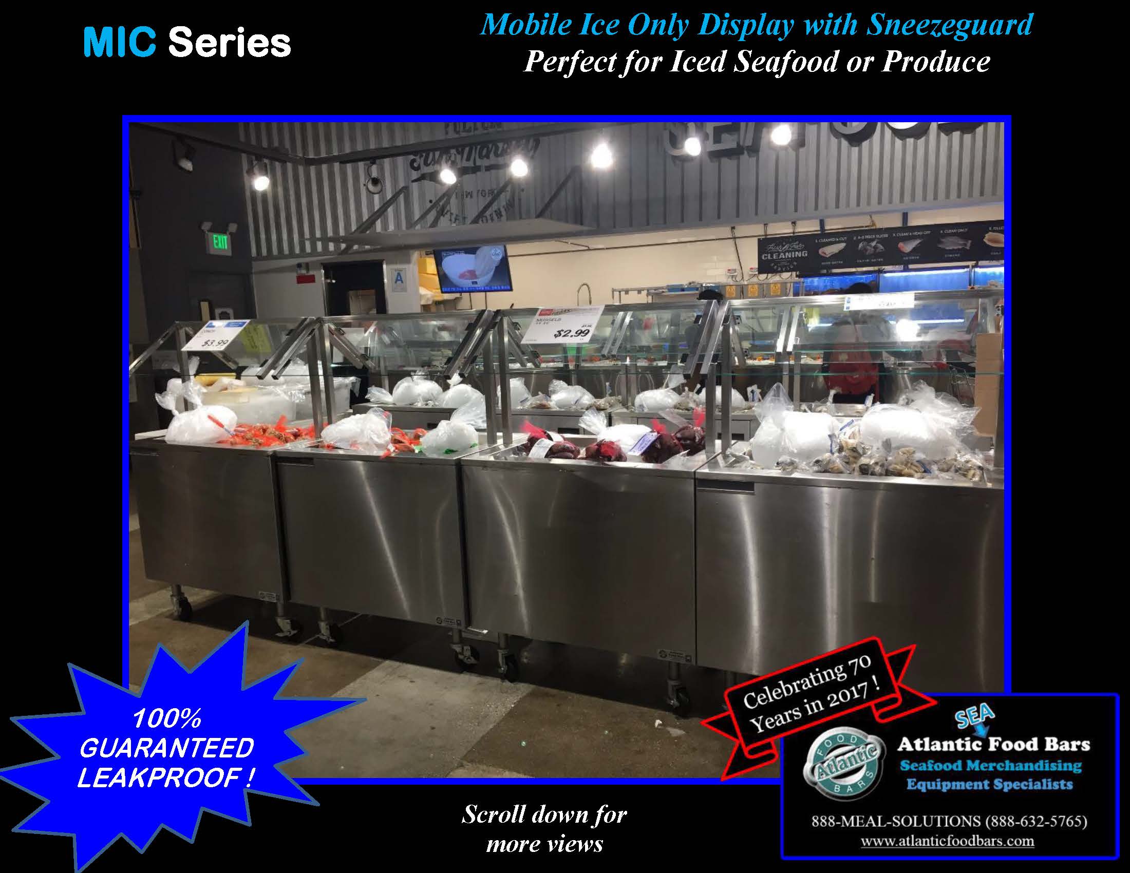 Atlantic Food Bars - Mobile Ice Only Display with Sneezeguard Perfect For Iced Seafood or Produce - MIC
